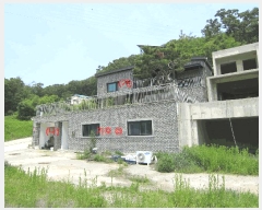  2025Ÿ��52133  ���ð��