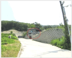  2025Ÿ��52133  ���ð��