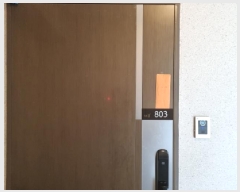  2025Ÿ��52335  ����Ʈ���