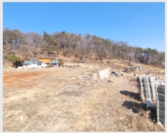  2025Ÿ��84  �������