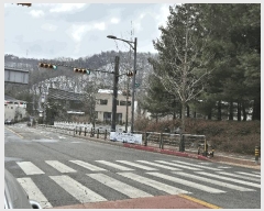  2025Ÿ��688 ��� ������ �д籸 ���ߵ� ��100-3      ����(�Ӿ�)���