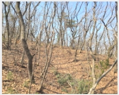  2025Ÿ��688 ��� ������ �д籸 ���ߵ� ��100-3      ����(�Ӿ�)���