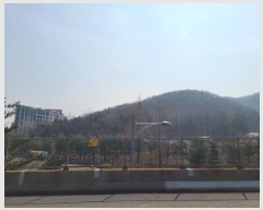  2025Ÿ��688 ��� ������ �д籸 ���ߵ� ��100-3      ����(�Ӿ�)���