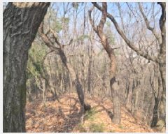  2025Ÿ��688 ��� ������ �д籸 ���ߵ� ��100-3      ����(�Ӿ�)���