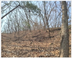  2025Ÿ��688 ��� ������ �д籸 ���ߵ� ��100-3      ����(�Ӿ�)���