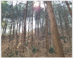  2025Ÿ��688 ��� ������ �д籸 ���ߵ� ��100-3      ����(�Ӿ�)���