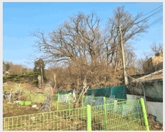  2025Ÿ��862  �����