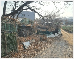  2025Ÿ��862  �����