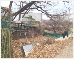  2025Ÿ��862  �����