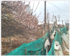  2025Ÿ��862  �����