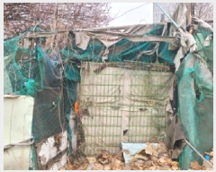  2025Ÿ��862  �����