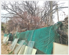  2025Ÿ��862  �����