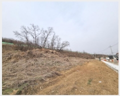  2025Ÿ��51588 ��� ���ֽ� �������� ���ո� 448-1      ����(��1)���