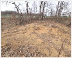  2025Ÿ��51588 ��� ���ֽ� �������� ���ո� 448-1      ����(��1)���