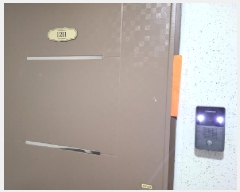  2025Ÿ��51657  �ټ���(����)���