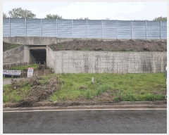  2025Ÿ��51935  �������