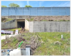  2025Ÿ��51935  �������