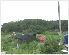  2025Ÿ��848 ��� ������ ������ ������ ��45-2      ����(�Ӿ�)���