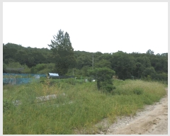  2025Ÿ��848 ��� ������ ������ ������ ��45-2      ����(�Ӿ�)���