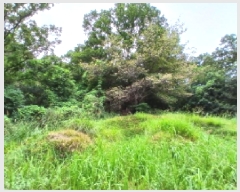  2025Ÿ��848 ��� ������ ������ ������ ��45-2      ����(�Ӿ�)���