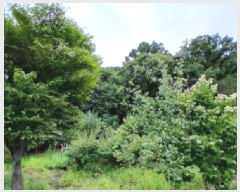  2025Ÿ��848 ��� ������ ������ ������ ��45-2      ����(�Ӿ�)���