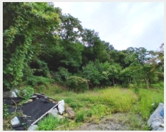  2025Ÿ��848 ��� ������ ������ ������ ��45-2      ����(�Ӿ�)���