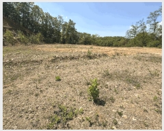  2025Ÿ��1643 ��� ���ֽ� �ʿ��� ������ ��129-9      ����(�Ӿ�)���