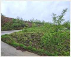  2025Ÿ��1643 ��� ���ֽ� �ʿ��� ������ ��129-9      ����(�Ӿ�)���