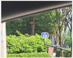  2025Ÿ��1674 ��� ������ �д籸 �ݰ 133 û�ָ��� 904�� 12��1202ȣ   ����Ʈ���