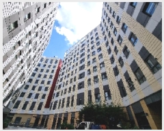  2025Ÿ��3113  ���ǽ��ڰ��