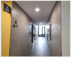  2025Ÿ��3113  ���ǽ��ڰ��