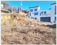  2025Ÿ51532  ֽ  511-46       (Ӿ)