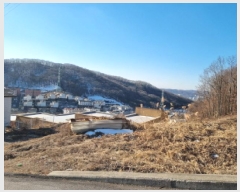  2025Ÿ51532  ֽ  511-46       (Ӿ)