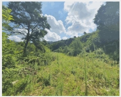  2025Ÿ51639  ֽ ô 츮 798      (1)