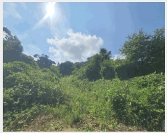  2025Ÿ51639  ֽ ô 츮 798      (1)