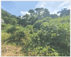  2025Ÿ51639  ֽ ô 츮 798      (1)