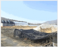  2025Ÿ��51767  ����