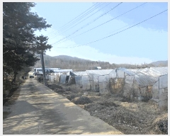  2025Ÿ��51767  ����