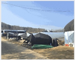  2025Ÿ��51767  ����