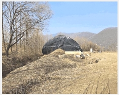  2025Ÿ��51767  ����