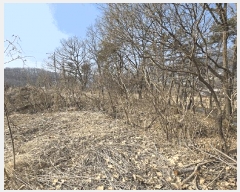  2025Ÿ��51767  ����