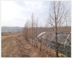  2025Ÿ��51767  ����