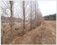  2025Ÿ��51767  ����