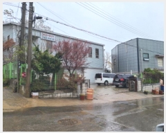  2025Ÿ��51833  â�����