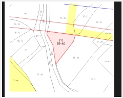  2025Ÿ��51879 ��� ���ֽ� ����� 55-40       ����(��)���