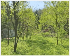  2025Ÿ��51997  �����