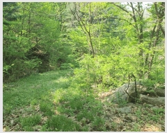  2025Ÿ��51997  �����