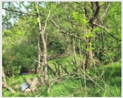  2025Ÿ��51997  �����