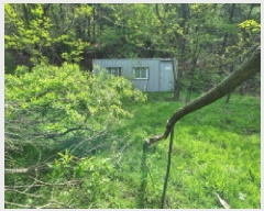  2025Ÿ��51997  �����