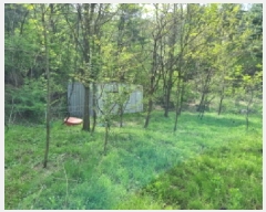  2025Ÿ��51997  �����